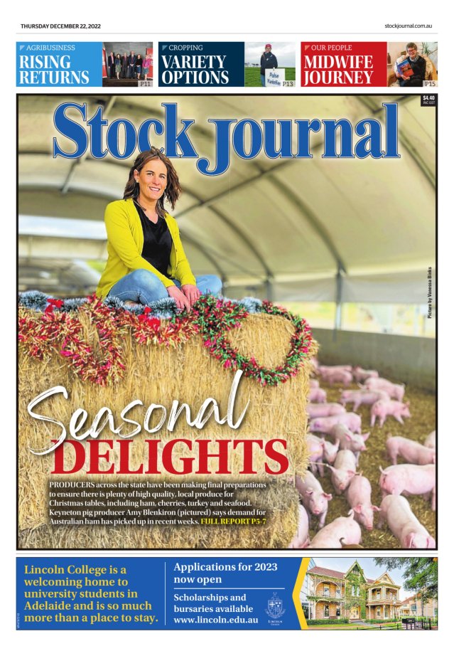 This Week's Paper | Stock Journal | SA